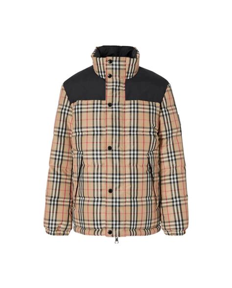 cazadora burberry hombre|Chaquetas para hombre .